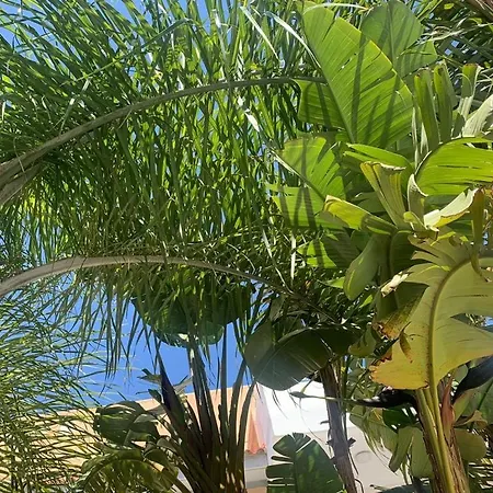 Town House, Ilios Ii, Kato * 파포스