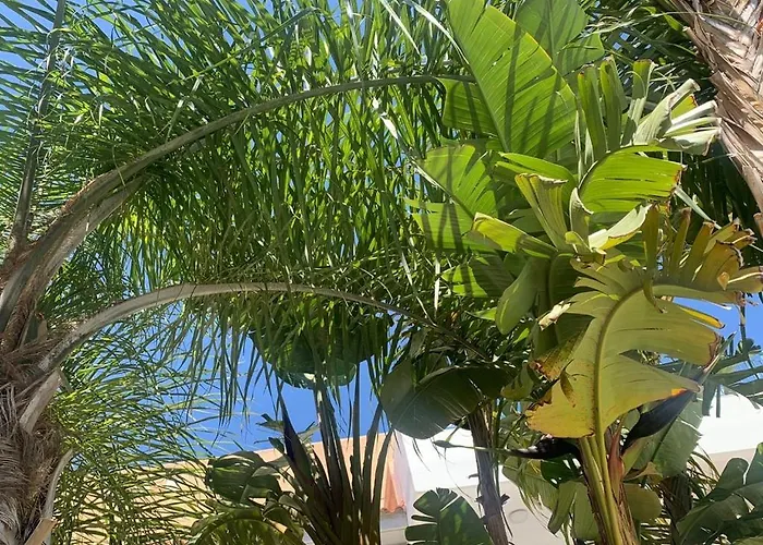 Town House, Ilios Ii, Kato * Paphos