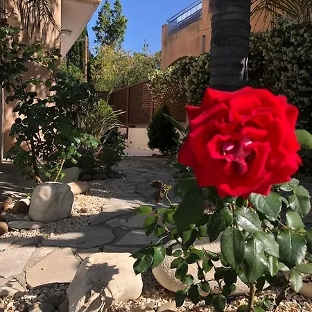 Town House, Ilios Ii, Kato בית נופש *